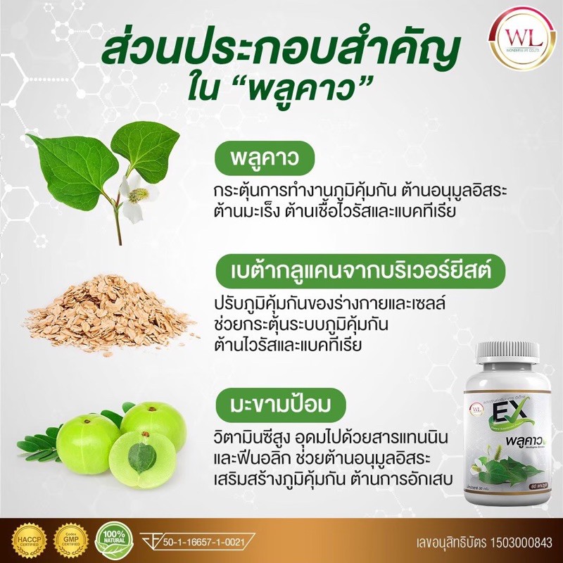 โปร-1-แถม-1-ยาสีฟัน-ex-พลูคาว-คาวตอง-สมุนไพรพลูคาว-wonderfullife-ex-houttuynia-cordata