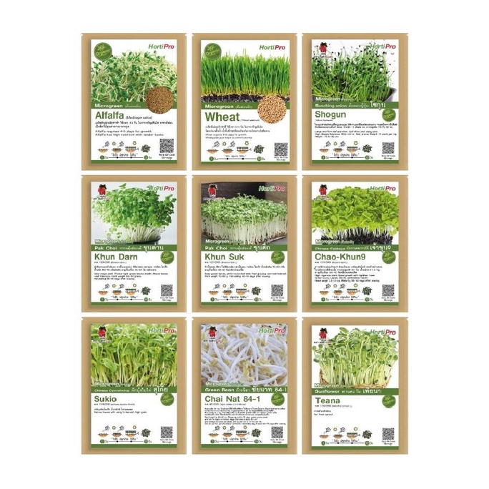 เมล็ดต้นอ่อนผัก-microgreen-หลากหลายชนิด