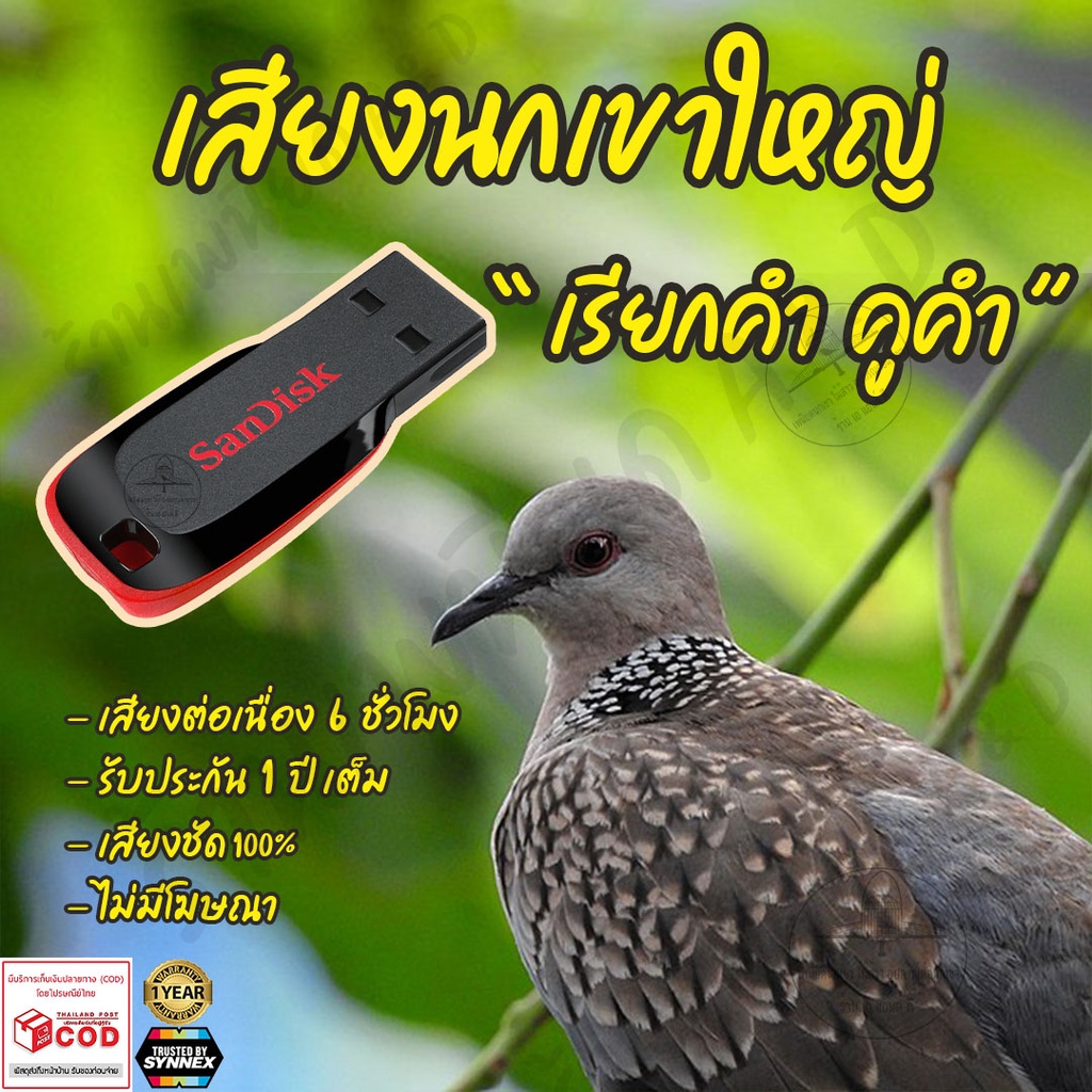 เสียงต่อ-นกเขาใหญ่-เรียกคำคูคำ-ยาว6ชั่วโมง-ไม่มีโฆษณา-แฟลชไดร์ฟ-flash-drive-มีเก็บเงินปลายทาง