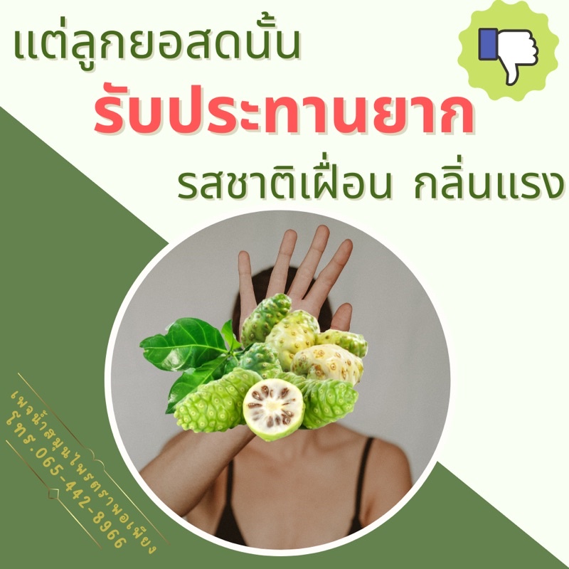 น้ำลูกยอ-แก้ปัญหาประจำเดือน-มดลูก-ซีสต์-และตกขาว