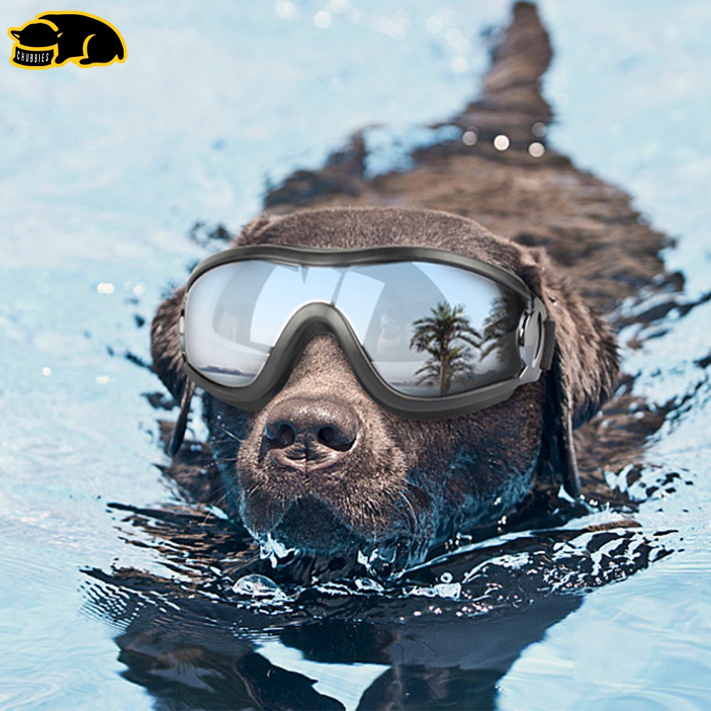 พร้อมส่ง-c201แว่นตาสุนัข-แว่นตาสุดเท่-หมาใหญ่-กันแดดกันลม-สายปรับขนาดได้-แว่นตา-แว่นตาป้องกัน-แว่นกันแดดสุนัข