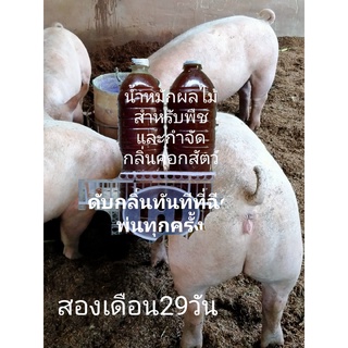 1ขวด น้ำหมักมะเฟืองสูตรสำหรับพืชและดับกลิ่นในคอกปศุสัตว์