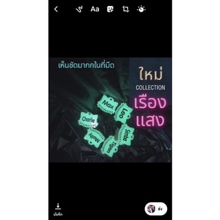 ป้ายชื่อแมว ป้ายเรืองแสงในที่มืด