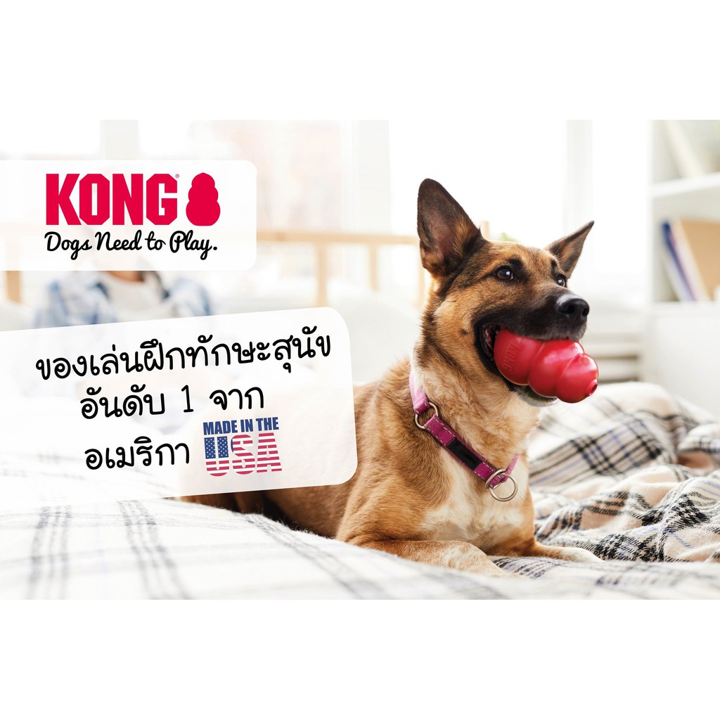 kong-rewards-shell-small-คอง-ที่ให้ขนมแบบของเล่น-usa