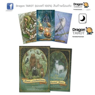 ไพ่ทาโรต์ Forest of Enchantment Tarot (ของแท้ 100%) สินค้าพร้อมส่ง ไพ่แท้, ร้าน Dragon TAROT
