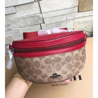 Coach Belt Bag in Signature Canvas