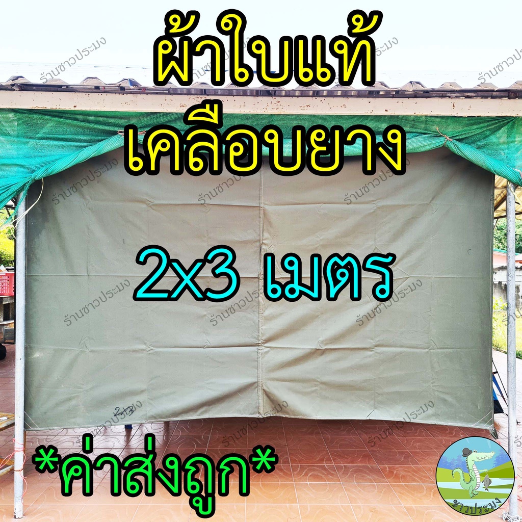 ผ้าใบ-หนาพิเศษ-2x3-เมตร-สีเขียว-กันฝน-กันแดด-ผ้าใบแท้-ผ้าใบรองเต็นท์-ผ้าใบปูพื้น-ผ้าเต็นท์-ผ้าใบ-มีให้เลือก-3-ขนาด