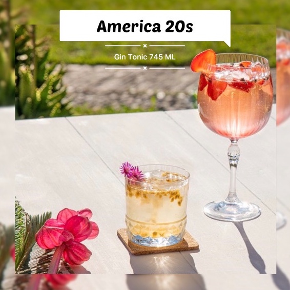 แก้วค็อกเทล-america-20s-gin-tonic-745-ml