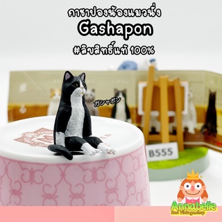 กาชาปองน้องแมวนั่ง ใหม่ พร้อมส่ง มีใบปิด Gachapon Cat ลิขสิทธิ์แท้ญี่ปุ่น