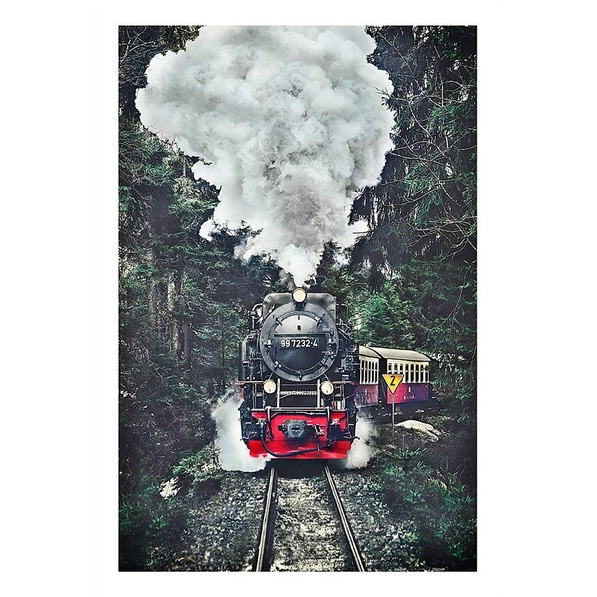 pintoo-the-steam-train-switzerland-600-pieces-plastic-jigsaw-puzzle