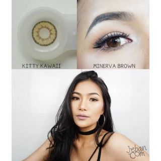 💖 Kitty Kawaii  mini Minerva  brown gray -00 -325 -425 -450 -475 Contactlens บิ๊กอาย คอนแทคเลนส์ ราคาถูก แถมตลับฟรี