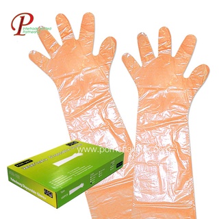 ภาพหน้าปกสินค้าถุงมือยาว ถุงมือล้วง ยาวถึงไหล่ สีส้ม 100 ชิ้น Veterinary Disposable Gloves, Orange (100 pcs/box) ที่เกี่ยวข้อง