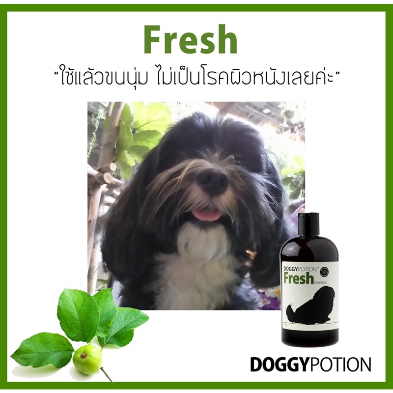 doggy-potion-fresh-shampoo-3-800ml