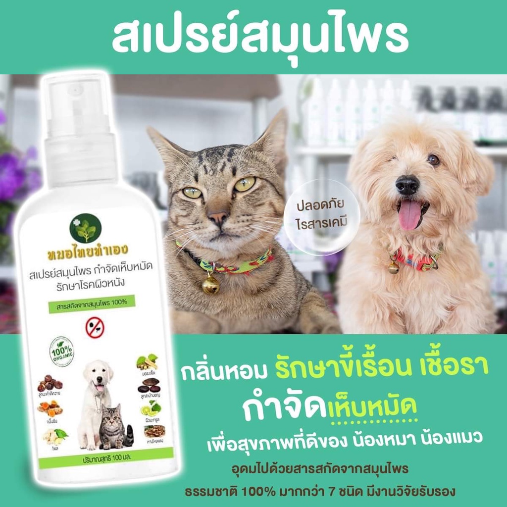 ภาพสินค้าหมอไทยทำเอง สเปรย์บรรเทาโรคผิวหนัง ไล่ ป้องกันเห็บหมัด ขี้เรื้อนสุนัข แมว เชื้อรา ยีสต์ คันเกา 100 ml. สมุนไพร จากร้าน mestock2022 บน Shopee ภาพที่ 4