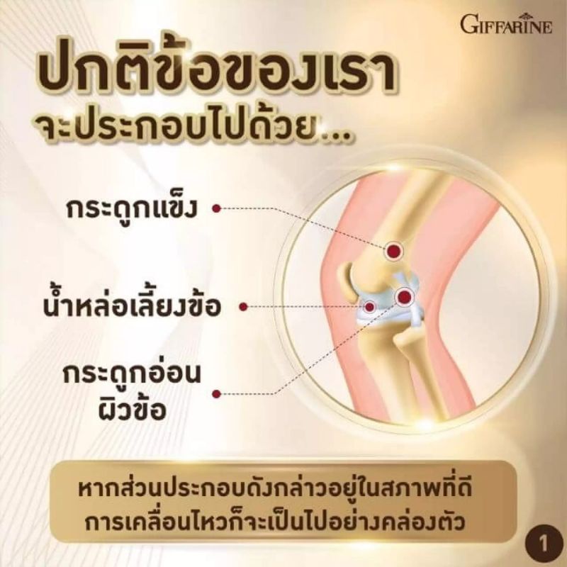 คอลลาสติน-คอลอเจน-อาหารเสริม