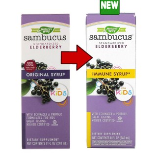 ภาพหน้าปกสินค้าNature\'s Way, Sambucus for Kids, Standardized Elderberry, Original Syrup 240 ml ที่เกี่ยวข้อง