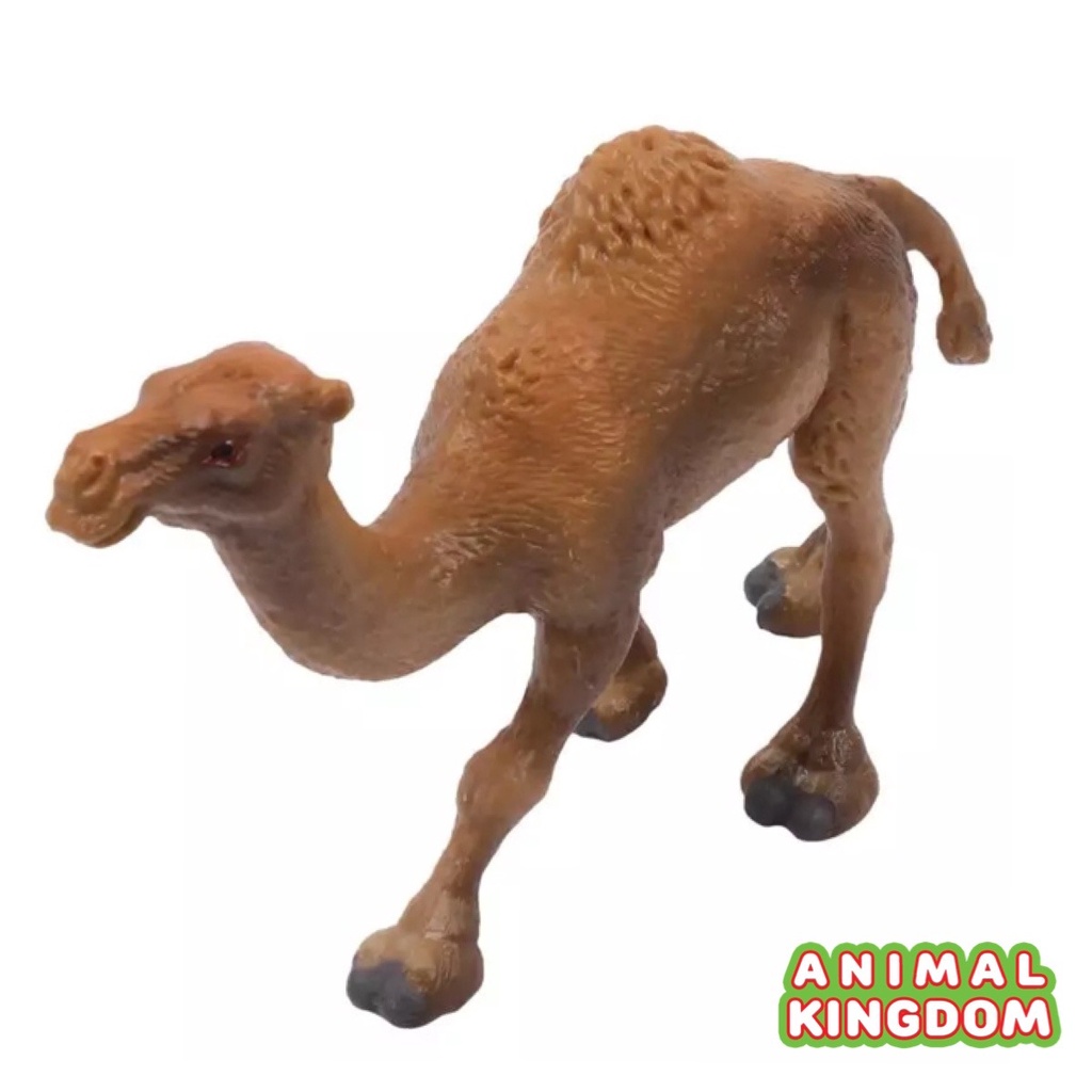 animal-kingdom-โมเดลสัตว์-อูฐ-หนอกเดียว-ขนาด-11-50-cm-จากหาดใหญ่