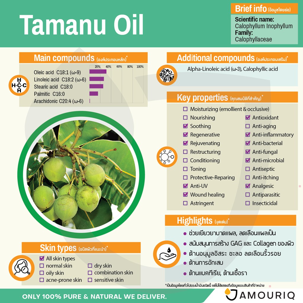 amouriq-น้ำมันต้นกระทิง-น้ำมันทามานู-ออร์แกนิก-สกัดเย็น-100-pure-tamanu-oil-organic-virgin-cold-pressed-30ml-120ml