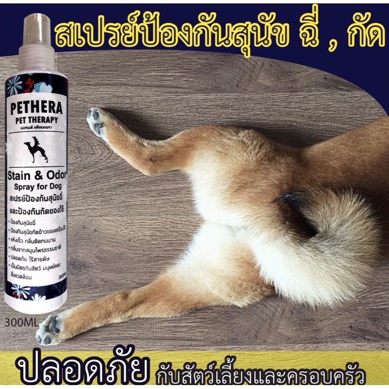 ภาพหน้าปกสินค้าเห็นผลทันที สเปรย์ฝึกสุนัขขับถ่ายให้เป็นที่ สเปรย์สมุนไพรฝึกสุนัขเเมวให้ขับถ่ายเป็นที่ ปลอดภัย จากร้าน pethera_official บน Shopee