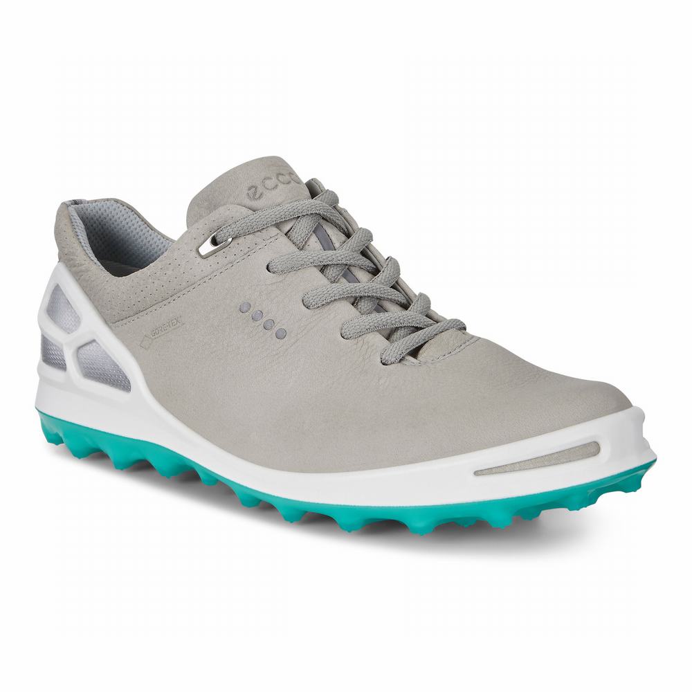 ecco womens cage pro gtx