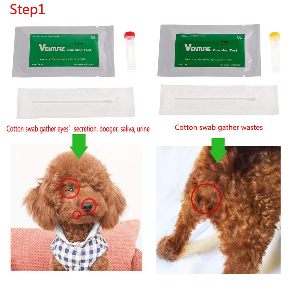 ภาพสินค้าVenture Dog Canine ชุดทดสอบไวรัส CDV & Parvovirus CPV จากร้าน mengqiqidianshang.th บน Shopee ภาพที่ 5