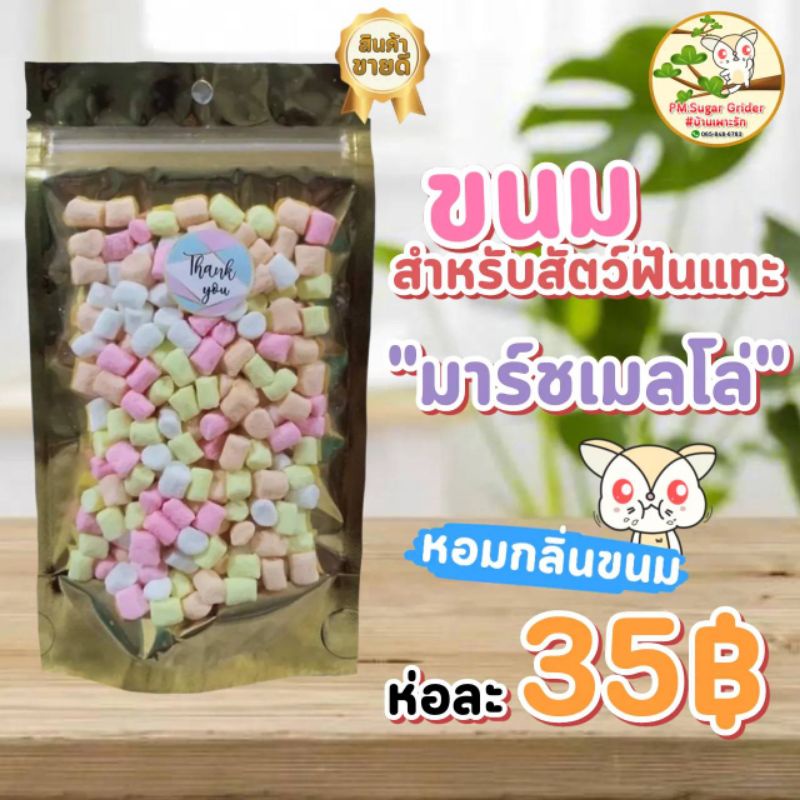 อาหาร-ขนม-สัตว์ฟันแทะ-ชูก้าไรเดอร์-กระรอก-หนู-มร์าชเมลโล่