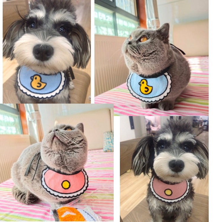 ภาพสินค้าปลอกคอแบบผ้ากันเปื้อน ลายน่ารัก สำหรับสัตว์เลี้ยง แมว หมา จากร้าน jieshi.th บน Shopee ภาพที่ 1