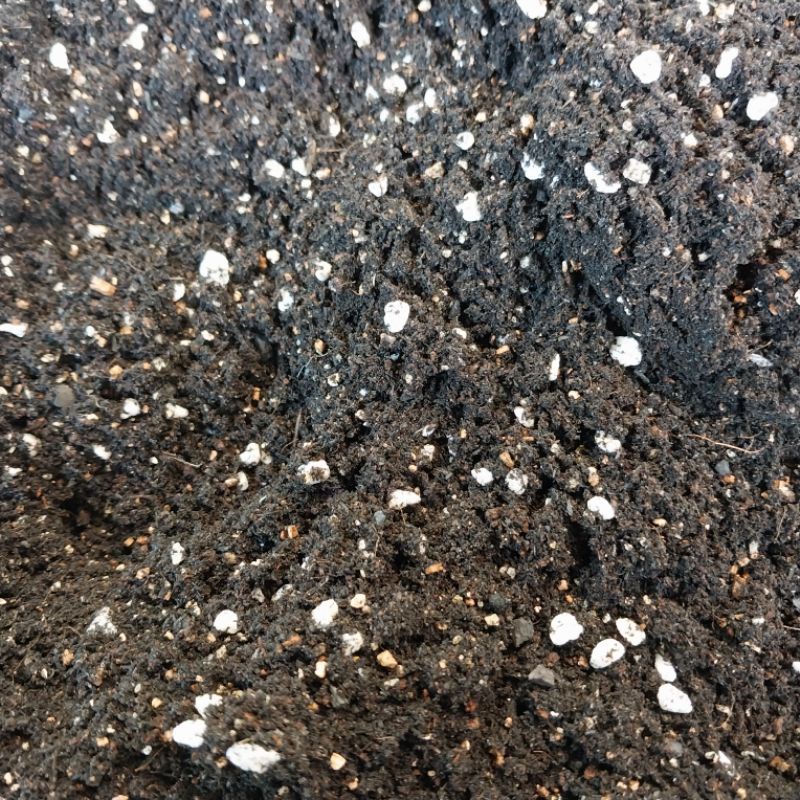 ดินปลูกแคคตัส-ดินปลูกกระบองเพชร-ดินผสมพร้อมปลูก-ถุงละ-700-กรัม