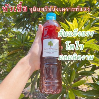 หัวเชื้อจุลินทรีย์สังเคราะห์แสง PSB สูตรเข้มข้น Organic100%☀️ ขยายต่อเองได้ ต้นแข็งแรง ผลผลิตเพิ่มขึ้น ขนาด600ml 1.5ลิตร