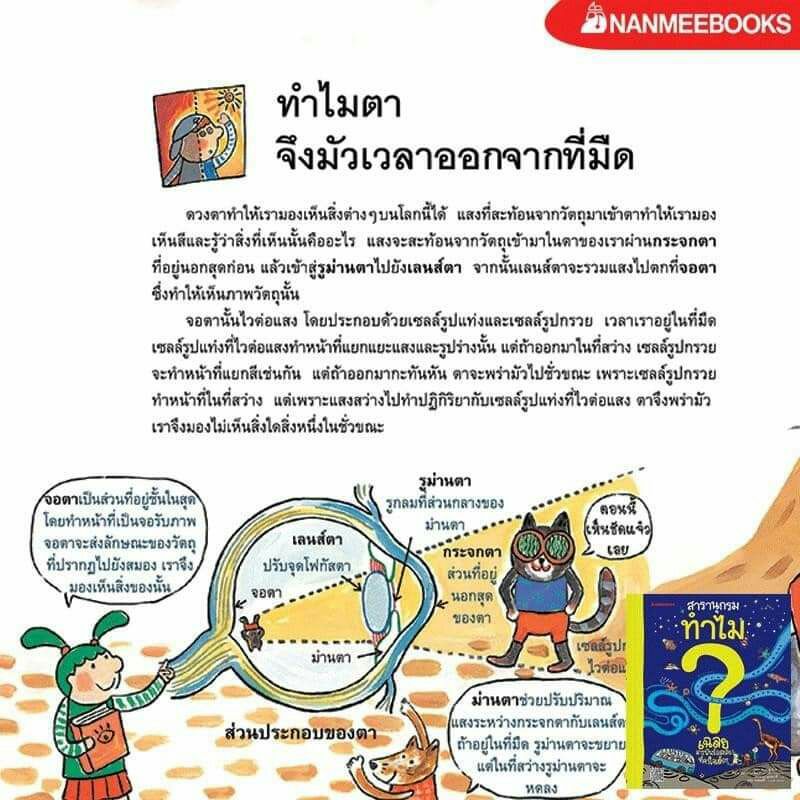 หนังสือสารานุกรม-ทำไม-หนังสือแนะนำ-ขายดี-เด็กชอบ