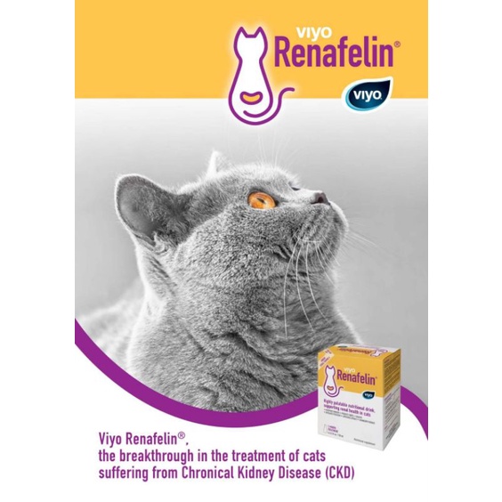 ภาพหน้าปกสินค้าRenafelin อาหารเสริมบำรุงไตน้องแมว Kidney care Exp.09/2025 จากร้าน kshop29 บน Shopee
