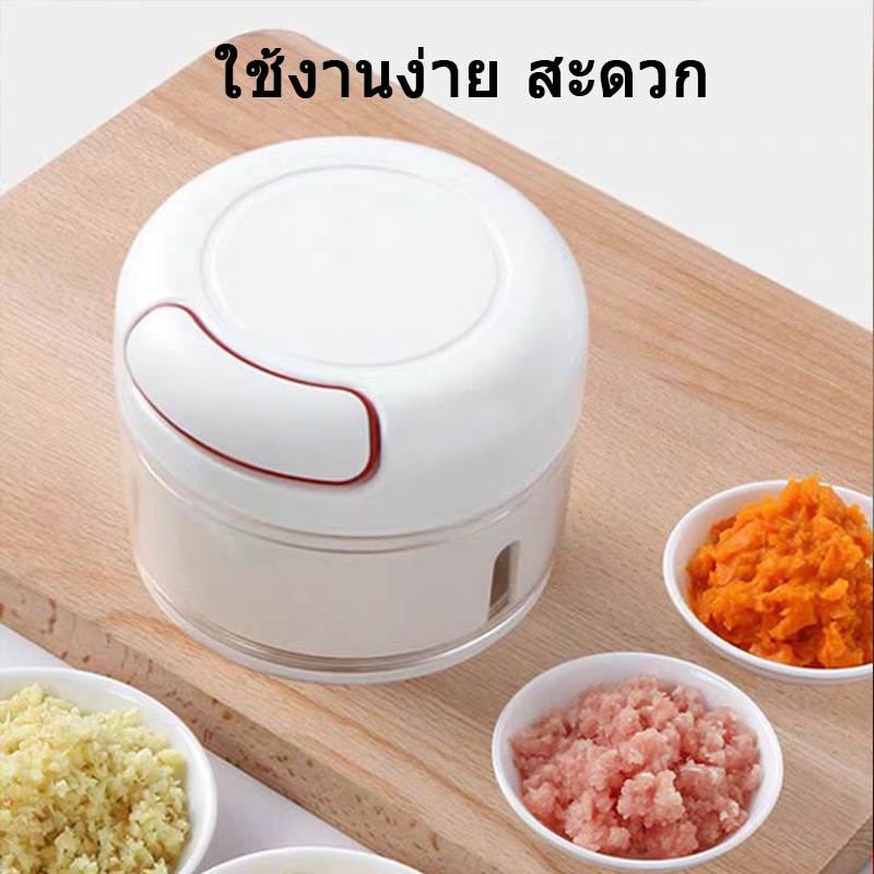 เครื่องปั่นกระเทียม-เครื่องบดกระเทียม-ห้องครัว-ปั่นละเอียด-ประหยัดไฟ-ที่บดกระเทียมไฟฟ้า-ที่ปั่นพริก