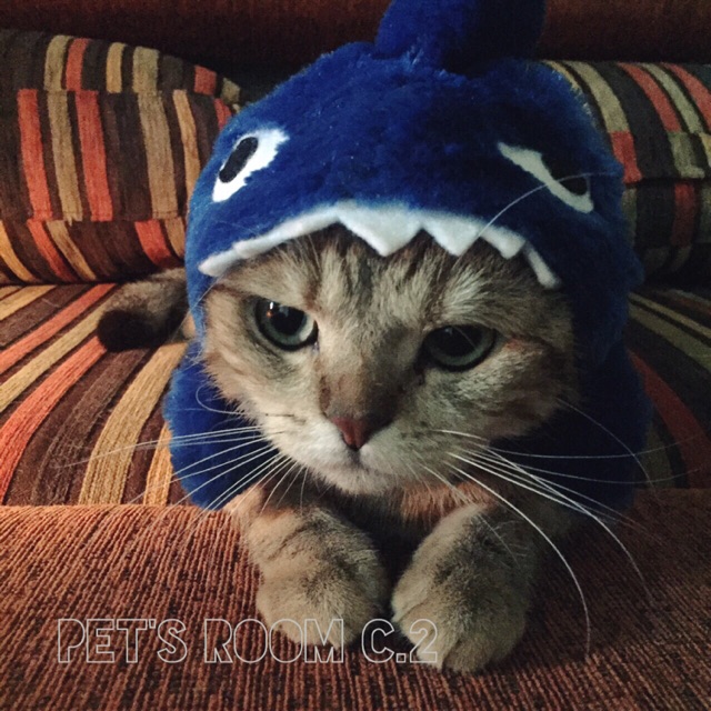ภาพหน้าปกสินค้าหมวกน้องแมว ฉลามน้อย