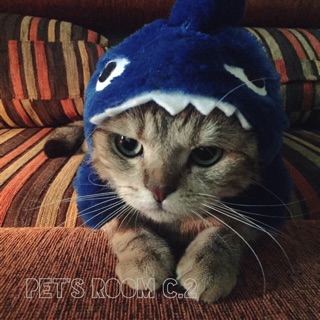 ภาพหน้าปกสินค้าหมวกน้องแมว ฉลามน้อย 🐳 ที่เกี่ยวข้อง