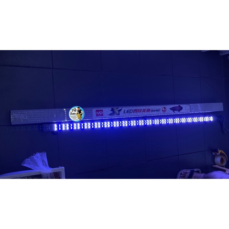 dedicated-led-lamp-for-arowana-หลอดไฟสีขาวฟ้า-t10-หลอด-4-แถวใช้สำหรับตู้ปลา-ขนาด-72-cm-สำหรับตู้-32-นิ้ว