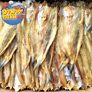 สินค้า ปลาช่อนทะเล ปลาจิ๊กโก๋ (แบบจืด) บางกลาง ตัวโต ได้เยอะ ไม่เค็ม ได้แคลเซียม