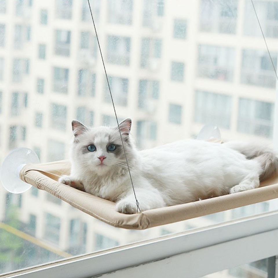 doodee-เปลแมว-เปลแมวติดกระจก-เปลแมวติดหน้าต่าง-ขนาดใหญ่-55x35ซม-รับน้ำหนักได้ถึง-15-kg-ที่นอนแมว