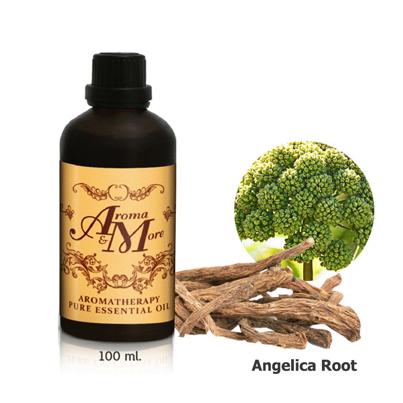 aroma-amp-more-angelica-root-essential-oil-100-น้ำมันหอมระเหยแองเจลิกา-รูท-100-india-100ml