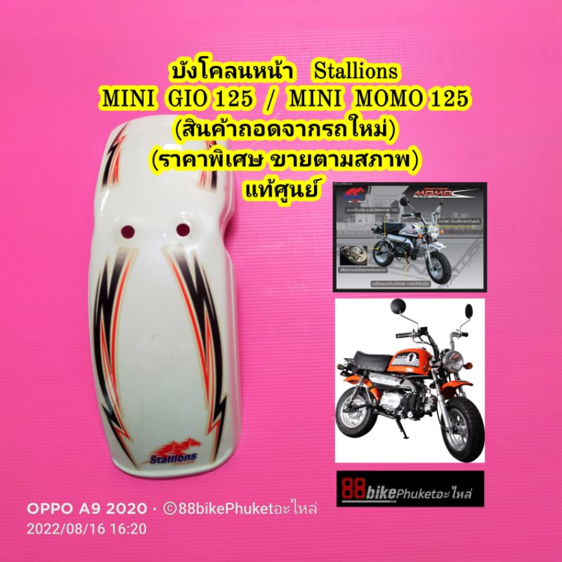 บังโคลนหน้า-stallions-mini-gio-125-mini-momo-125-แท้ศูนย์-บังโคลน