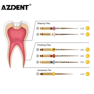 ภาพหน้าปกสินค้าAzdent เครื่องมือทันตกรรม Endodontic Gold Taper Niti แบบหมุน 25 มม.
 ที่เกี่ยวข้อง