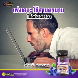 Billberry สารสกัดจากบิลเบอร์รี่กับอาการตาล้าจากการทำงานหน้าคอมพิวเตอร์  บำรุงสายตา ป้องกันจอตาเสื่อม