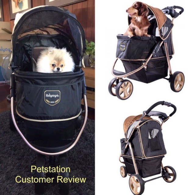 Ibiyaya Monarch Premium Pet Jogger - Luxury Gold