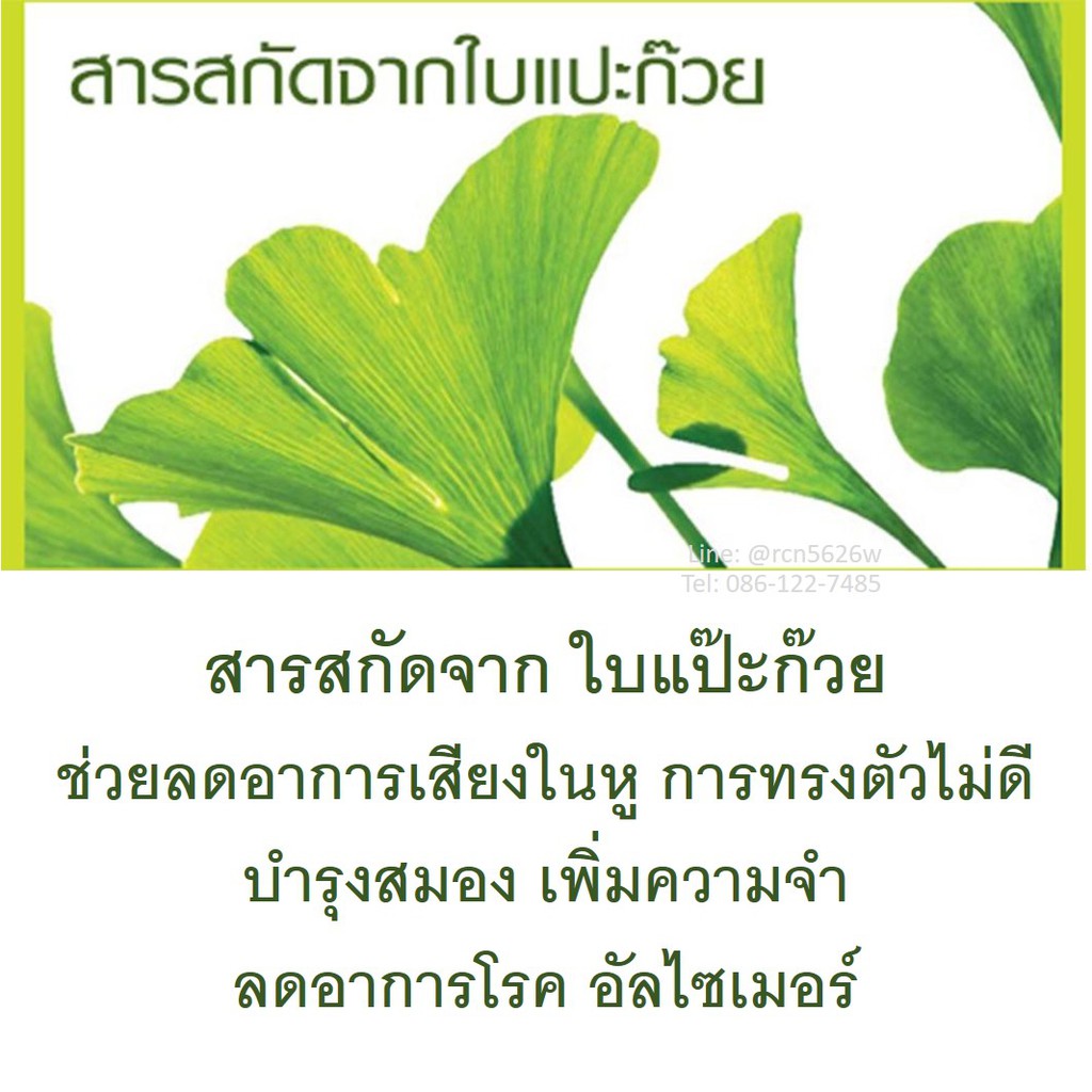 มีโปร-กิฟฟารีน-ผลิตภัณฑ์เสริมอาหารจิงโกลา-ใบแป๊ะก๊วย-ช่วยเพิ่มความทรงจำในผู้สูงอายุ-ช่วยอาการเสียงในหู-tinnitus