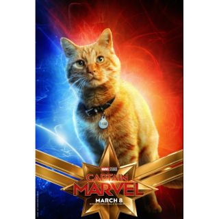 Poster Captain Marvels cat (goose)