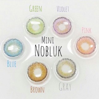 Limited Edition Nobluk / Mini Nobluk Gray Brown Blue Green Violet Pink ลิมิเต็ด DreamColor1 ฝาม่วง ฝาสีม่วง คอนแทคเลนส์