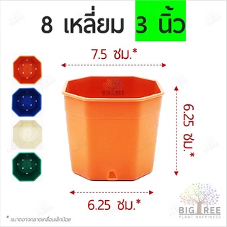 สินค้า กระถาง 8 เหลี่ยม💢3 นิ้ว🗑คุณภาพดี👍แข็งแรง ทนทานกระถางแคคตัส🌵กระถางกระบองเพชร🏜กระถางพลาสติก🌳(พร้อมส่ง)