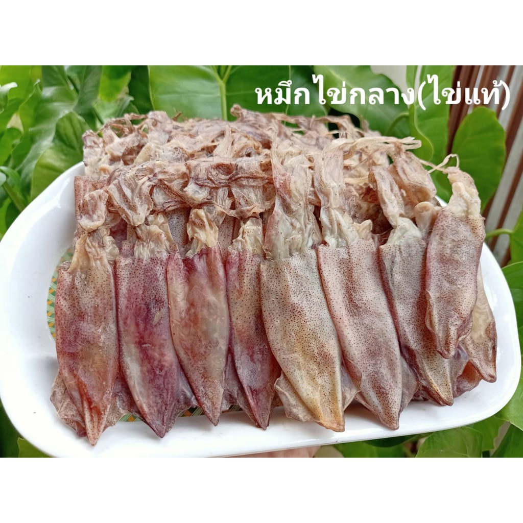 หมึกแพ-ไข่ใหญ่ธรรมชาติ-ไข่แน่นทุกตัว-ไม่ยัดไข่นอก-สดใหม่ทุกวัน-ปลอดสารพิษ