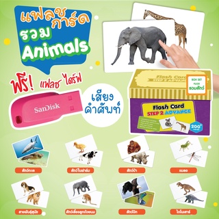 แฟลชการ์ดรวมหมวดสัตว์ ฟรี+ ไฟล์เสียง Flashcard Step2 Animal Set