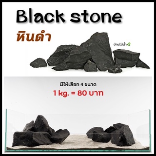 หินดำ black stone หินตู้ปลา หินตู้ไม้น้ำ หินตกแต่งตู้ปลา หินจัดสวน  | บ้านไม้น้ำ🌿
