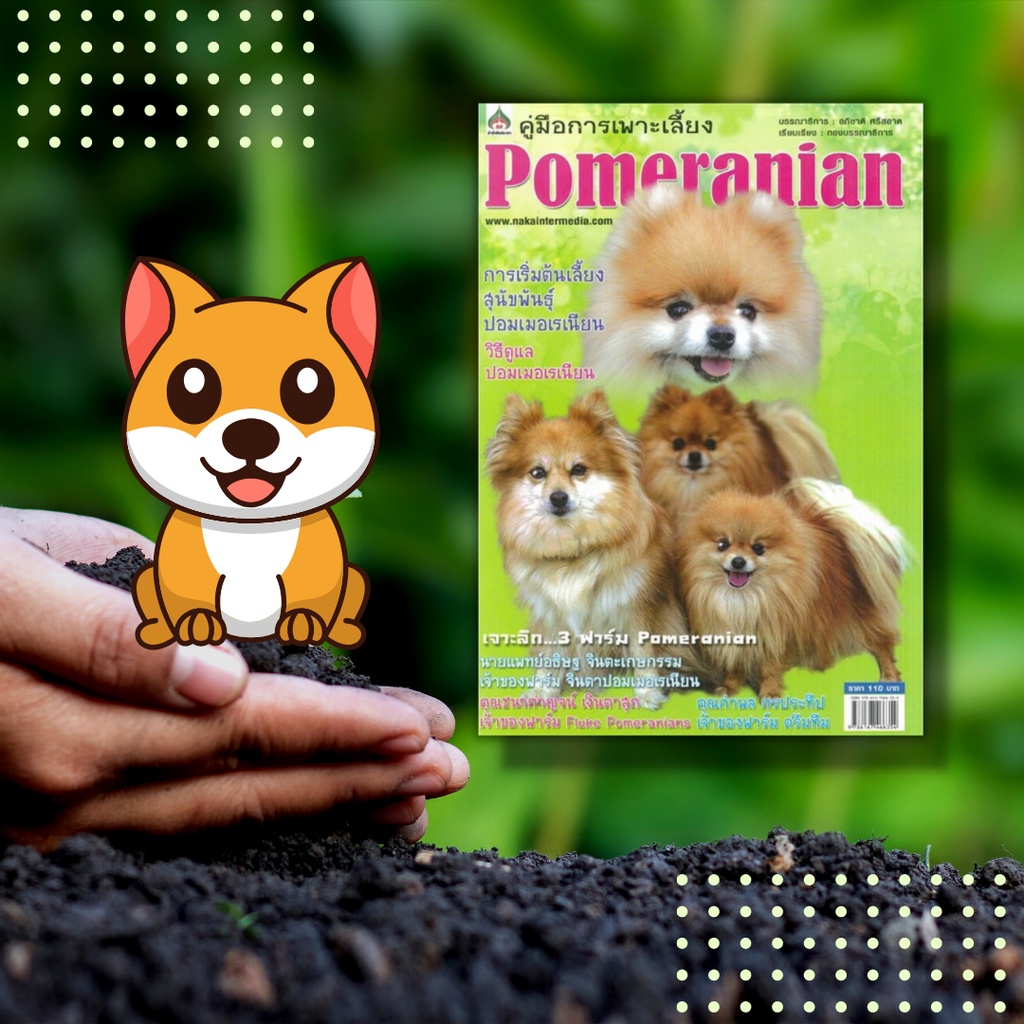 หนังสือ-คู่มือการเพาะเลี้ยง-pomeranian-ทำความรู้จักกับสุนัขพันธุ์ปอมเมอเรเนียน-พร้อมวิธีการดูแล-ตลอดจนเจาะลึก-3-ฟาร์ม